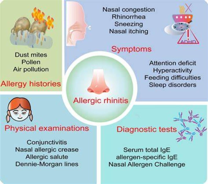 Allergic Shiners: Causes, Treatments, and Prevention - Expert Guide