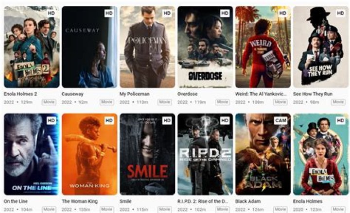 Allhdmovies Hub.in: The Ultimate Guide to Streaming and Downloading Movies