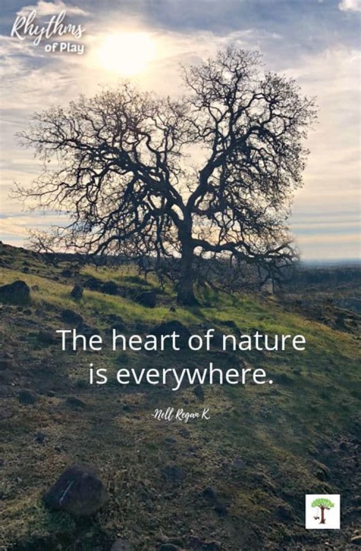 Bilzain Alp Home: A Haven of Comfort and Luxury in the Heart of Nature