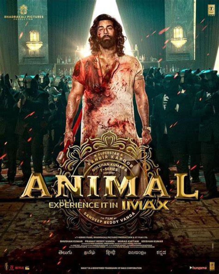 Bollyflix Africa Hindi Dubbed: The Ultimate Guide to Bollywood Content in Africa