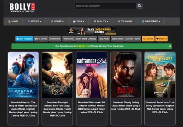 Bollyflix African: Your Ultimate Guide to Streaming Bollywood Movies in Africa