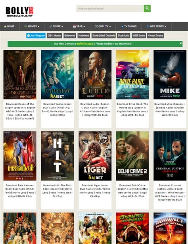 Bollyflix vs. Search Fails: Find Movies & Stay Updated!