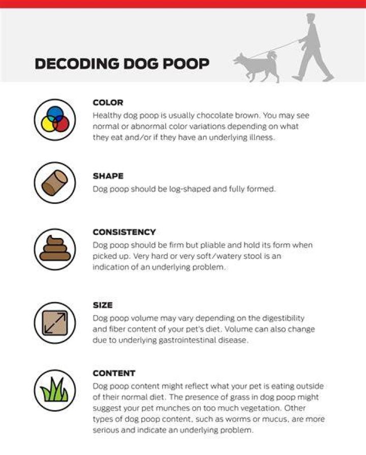 Decoding "MMM": Meanings & Uses Explained (Plus More!)
