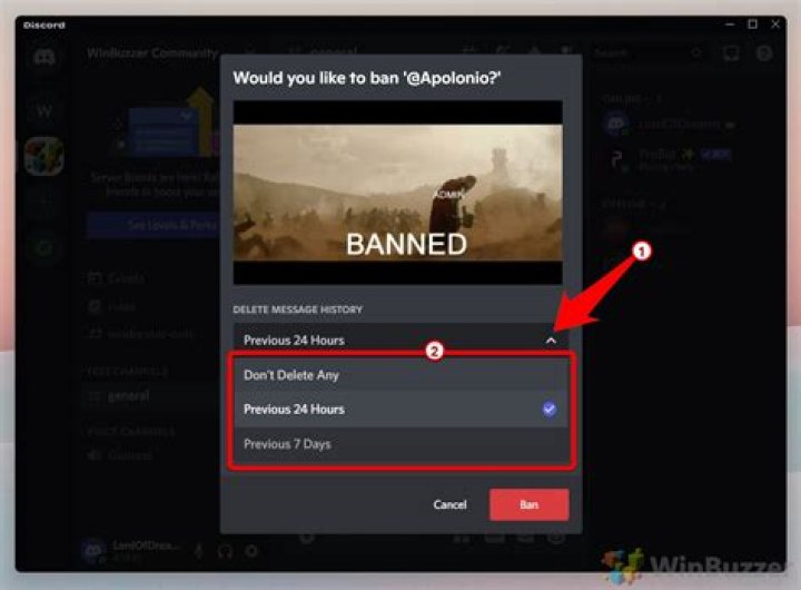 Discord Server Updates: Back After Bans & More! - Join Now!