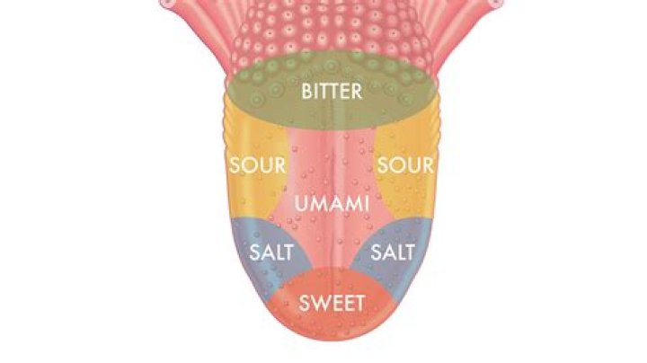 Does Salt Under the Tongue Work? A Comprehensive Guide to Its Effects and Benefits