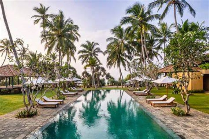 Exploring the Intriguing Phenomenon of "Malu Malu Hotel" in Sri Lanka