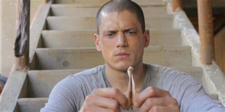 Exploring Wentworth Miller: From Prison Break to Success!