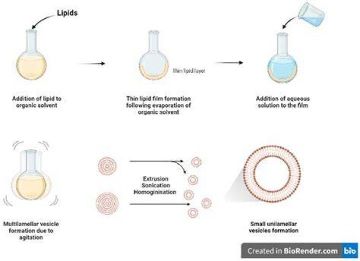 Fik Fip: Unveiling the Phenomenon and Its Impact