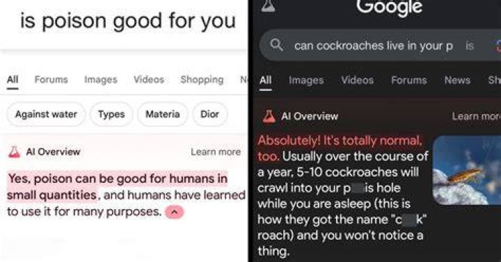 Google Search Fails: Troubleshooting "[No Results]" Issues