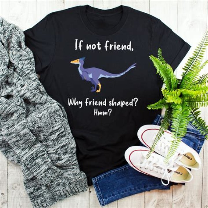If Not Friend, Why Friend-Shaped Origin: A Comprehensive Exploration