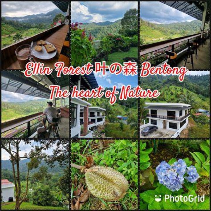 Ivory Hills Japan: A Serene Escape in the Heart of Nature