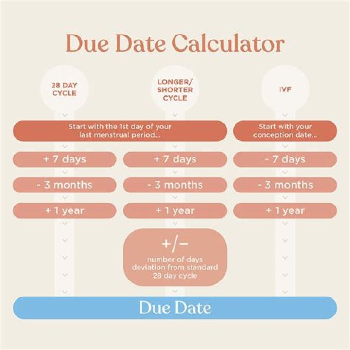 Kat Timpf Due Date Baby: A Comprehensive Guide to the Exciting Journey