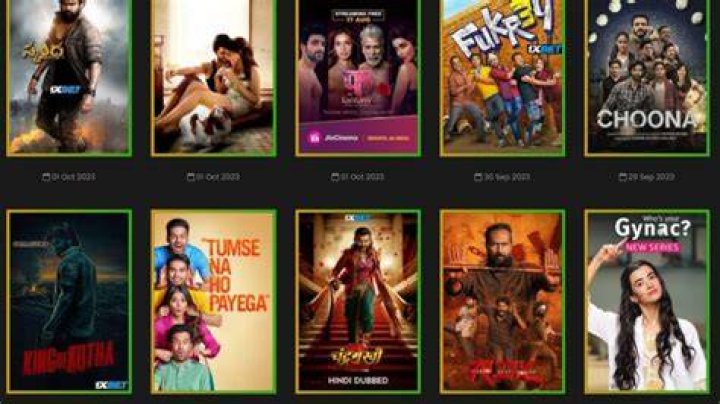 Latest Bollywood & Streaming Updates + Vegamovies Guide [2024]