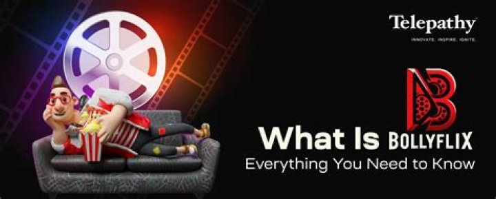 No Results? Fixes & Alternatives for Bollyflix & More