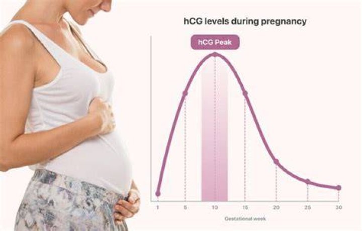 Red Raspberry During Pregnancy: The Ultimate Guide to Benefits, Risks, and Consumption