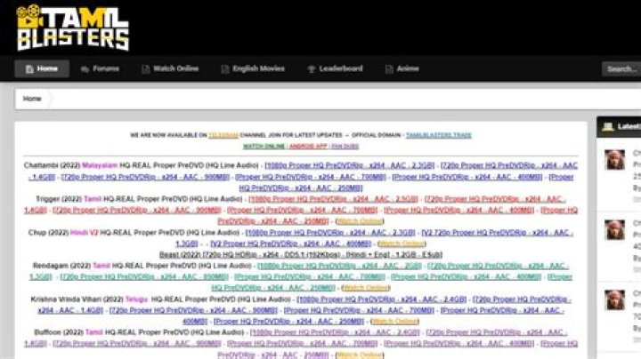 TamilBlasters: Proxy Sites & Alternatives - What You Need to Know