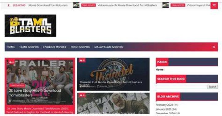 Tamilblasters: Risks & Alternatives - What You Need to Know