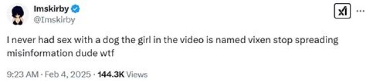 The Viral "imskirby Dog Video" Explained: What You Need to Know