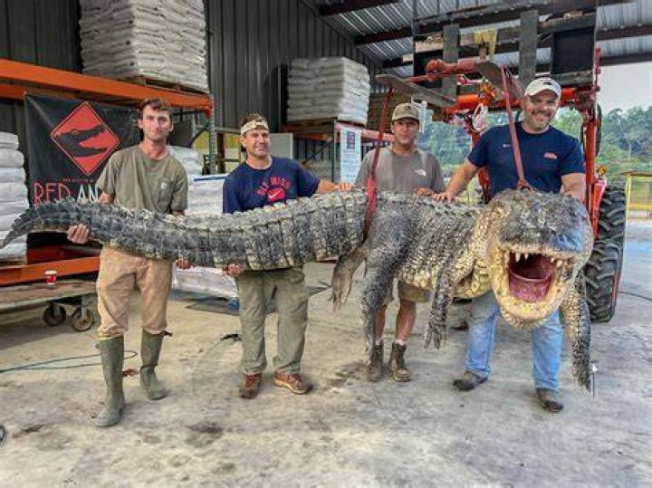 Unveiling the Monster: The 327 Pound Alligator Gar
