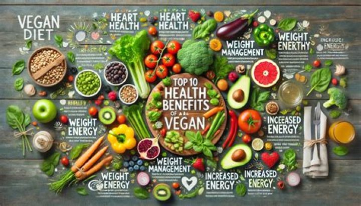 Vegamocies: The Rising Trend in Vegan Fashion and Lifestyle