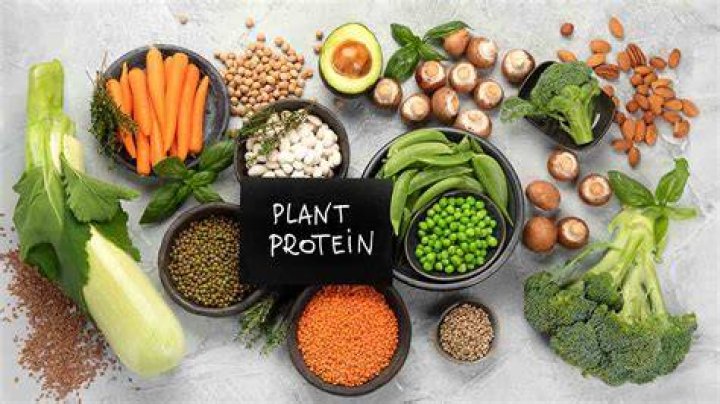 Vegamoies: The Revolutionary Plant-Based Protein for a Healthier Lifestyle