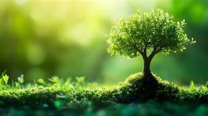 Vegamoovies: Your Ultimate Guide to a Thriving Plant-Based Movie Experience