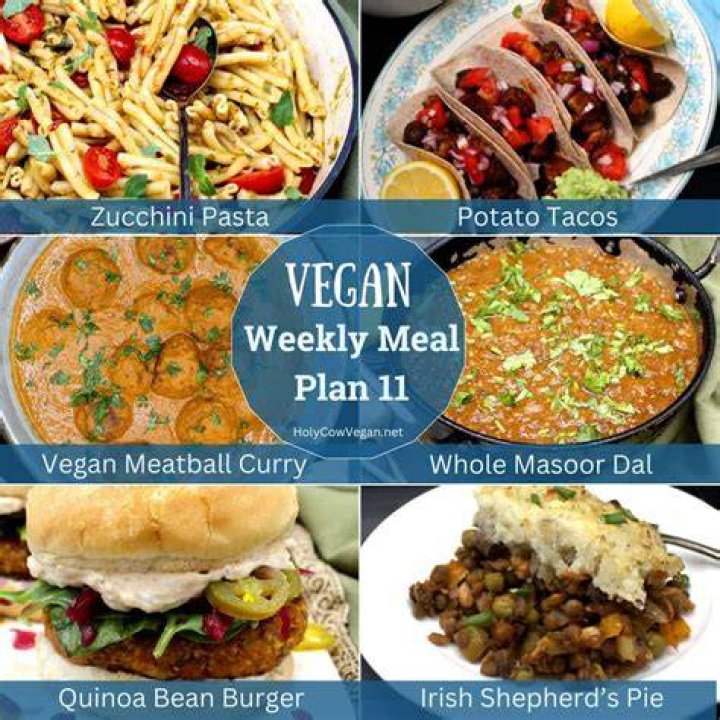 VegMovies: Streaming Alternatives & Where to Watch Vegan Films