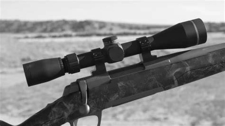 Weatherby Rifle Guide: Expert Advice & Recommendations