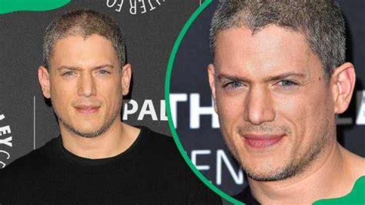 Wentworth Miller's Partner: Who Is He Dating in 2024?