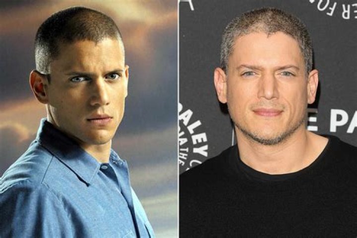 Wentworth Miller: From Prison Break to New Beginnings - Latest News & Updates