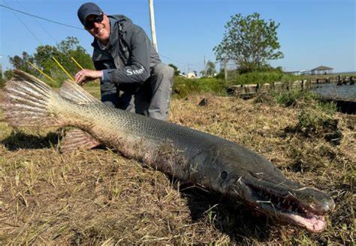 World Record Alligator Gar: Unveiling the Mysteries of the Largest Freshwater Fish